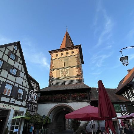 Coucou - Nest Im Schwarzwald Apartamento Gengenbach Exterior foto